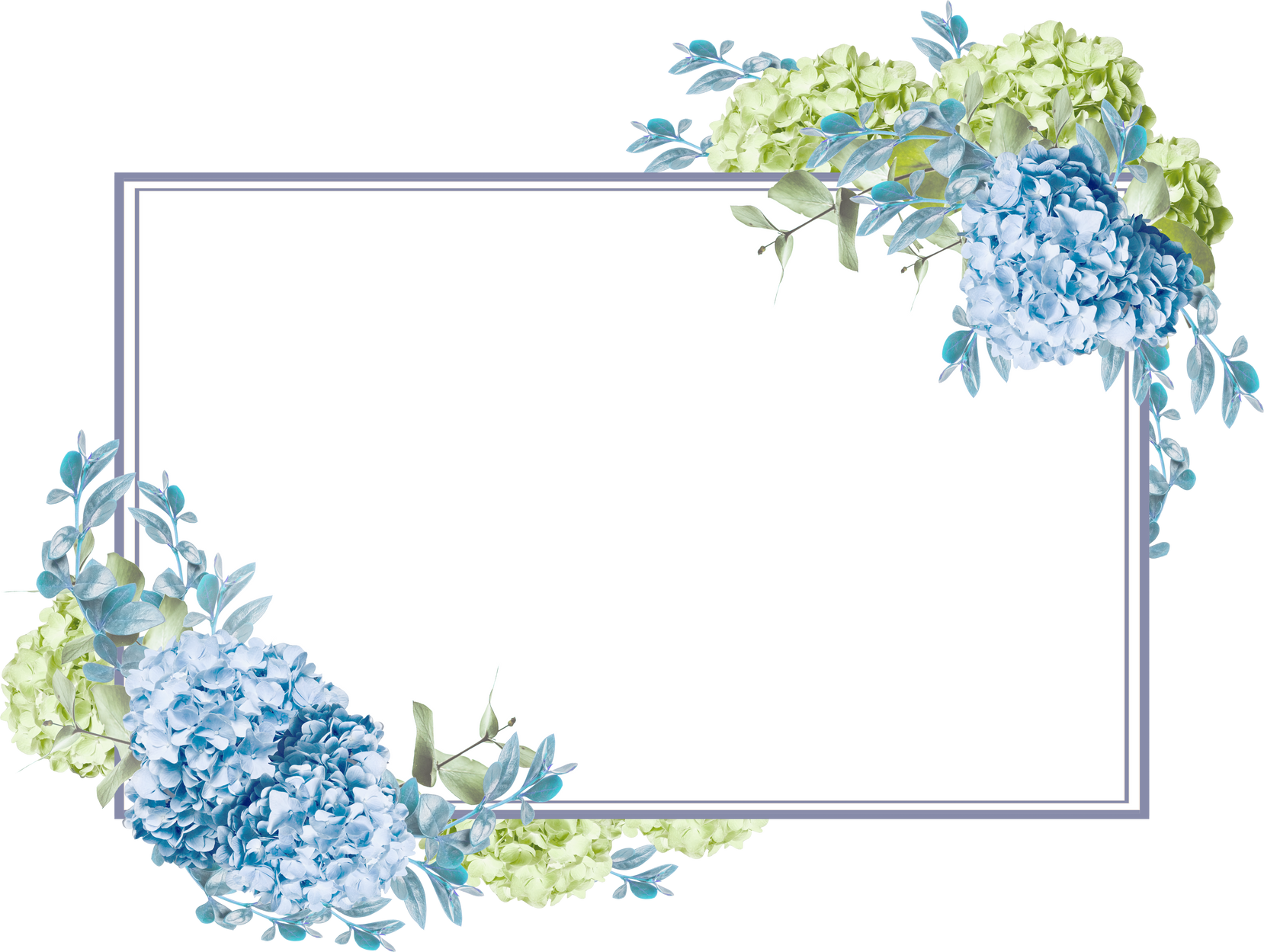 flower frame with hydrangeas